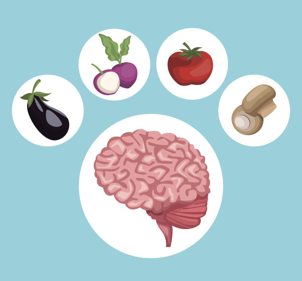 彩色背景与圆形框架脑器官和蔬菜健康食品图标图片下载