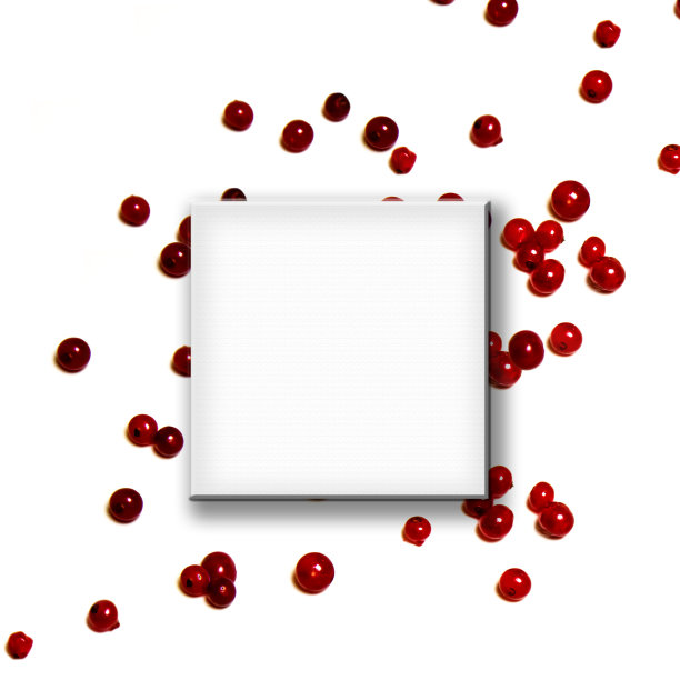 蔓越莓-红色的秋天浆果在白色的背景，文字空间图片下载