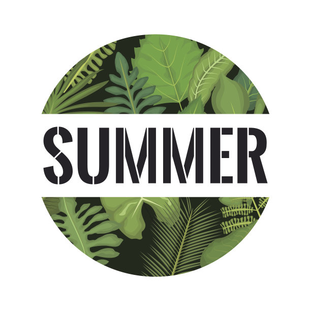 白色背景与圆形框架内装饰的绿叶和夏季文字图片下载