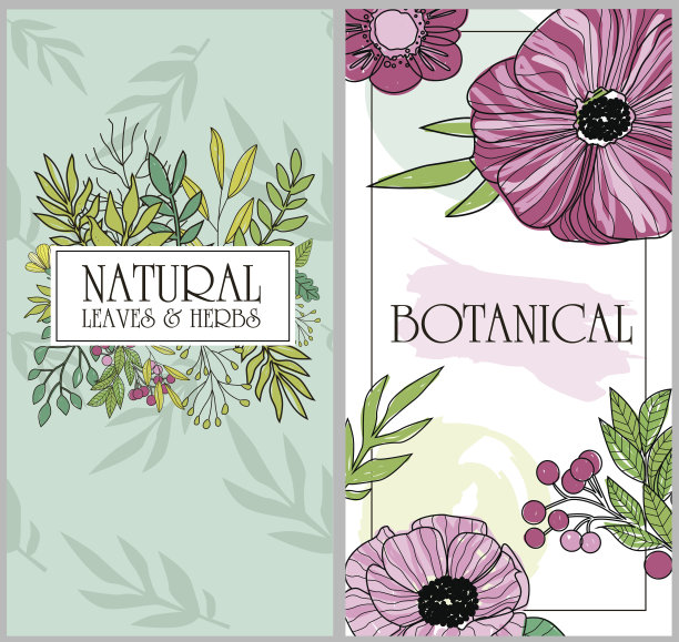 植物学卡片上有草药，水果和花图片下载