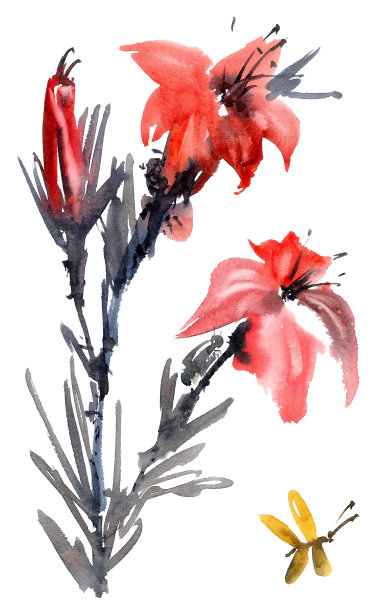 水彩金针菜图片下载