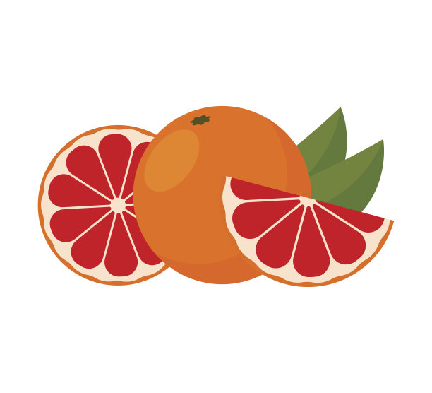 图标葡萄柚。矢量插图。图片下载
