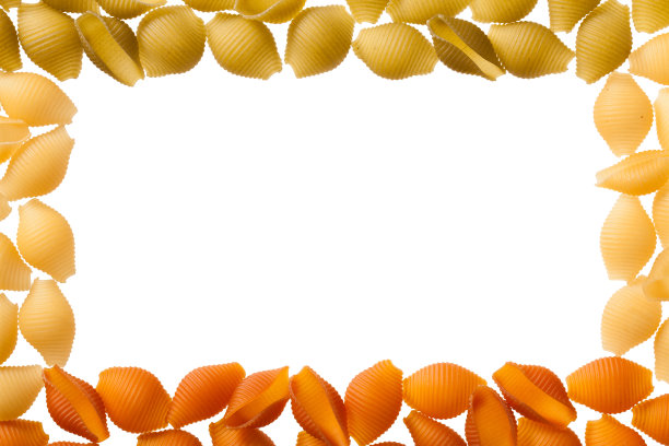 壳面孤立在白色背景上。图片下载