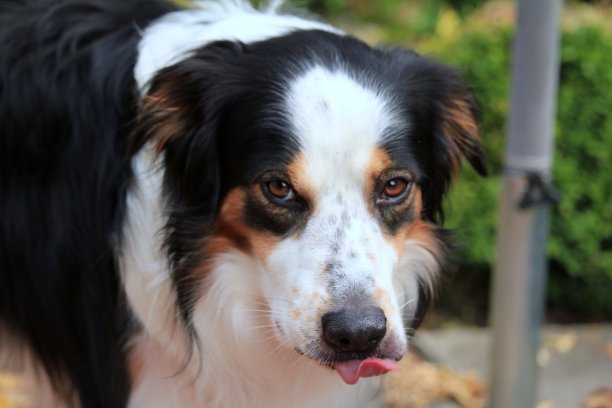 巨好吃图片下载