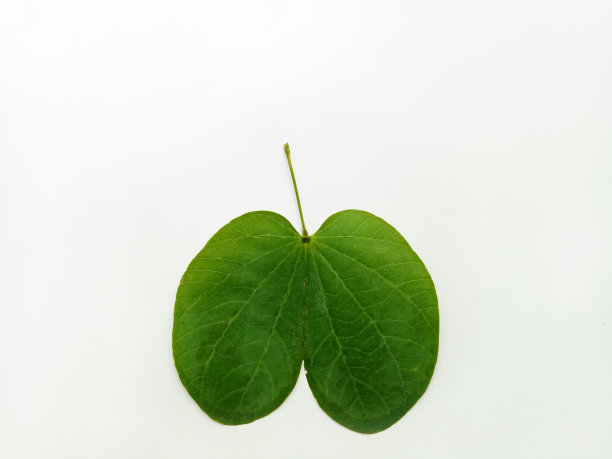 杜塞赫拉叶印度教节日图片下载