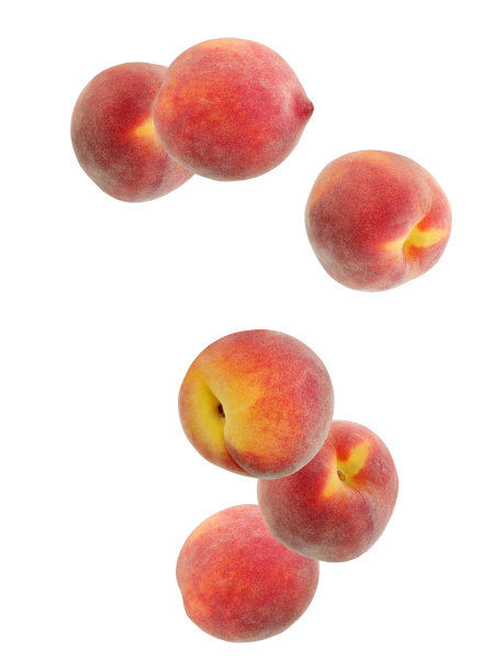 落下的桃子，孤立在白色的背景。图片下载