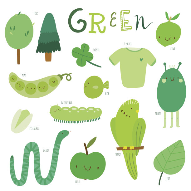 矢量插图颜色学习儿童-绿色。图片下载