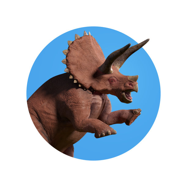 可怕的三角龙，近距离观察三角龙透过墙壁(3d渲染孤立在白色背景)图片下载