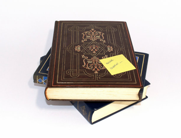 停止学习，去冲浪图片下载