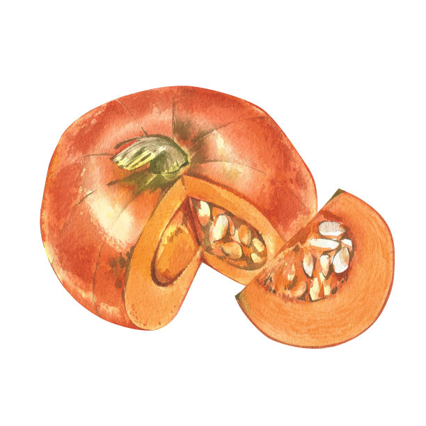 南瓜：白色背景上的手绘水彩画图片下载