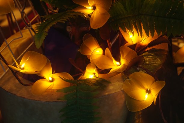 人为地花图片下载