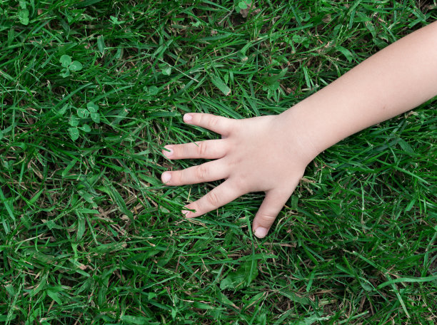 小孩在接触大自然图片下载