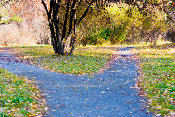 道路有两个方向，人生有选择的理念图片下载