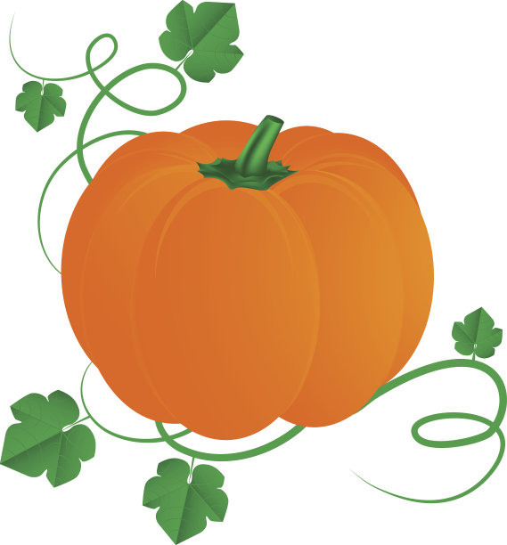 万圣节南瓜与树叶孤立在白色的背景图片下载