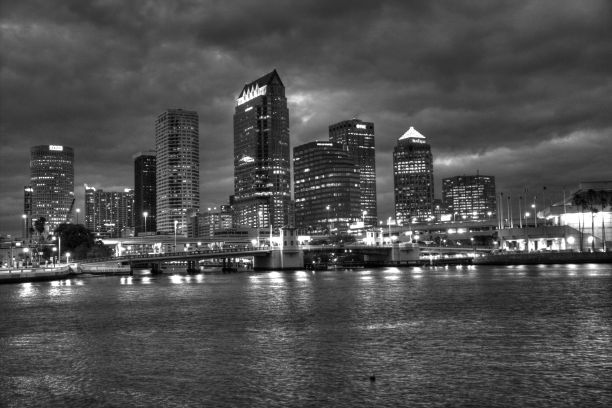 坦帕的天际线图片下载