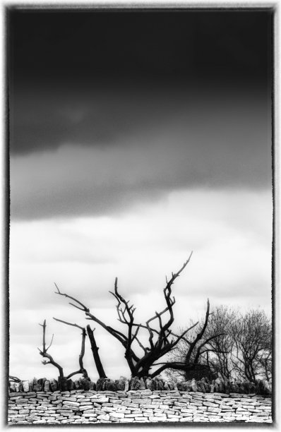 过滤膜扫描图片下载