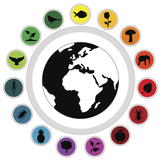 不同自然事物的大而详细的图标图片下载