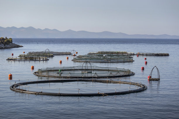 米兰图片素材ID：310321188