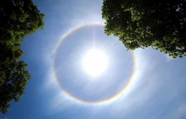 孙你好图片下载