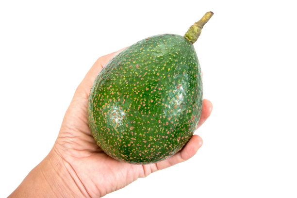 生牛油果在手孤立在白色背景图片下载