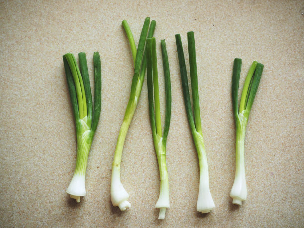 绿洋葱素材图片