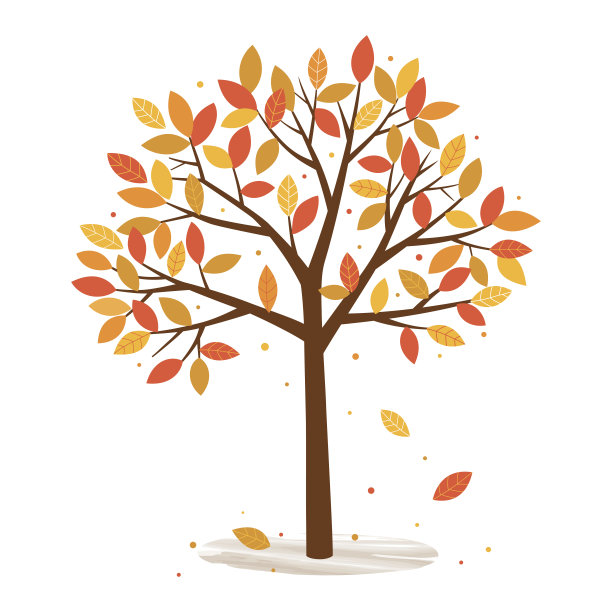 秋天的树与落叶在白色的背景图片下载