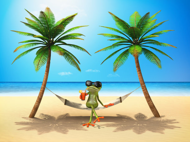 绿色的青蛙在太阳- 3D插图图片下载