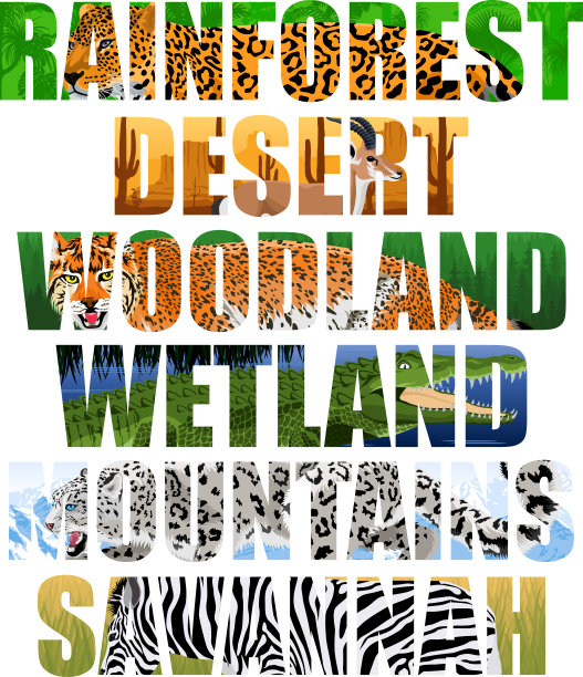 矢量景观和动物插图-雨林，沙漠，林地，湿地，山脉，草原图片下载