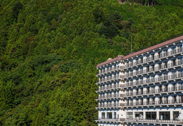 高层建筑的现代模式，树木和山脉背景图片下载