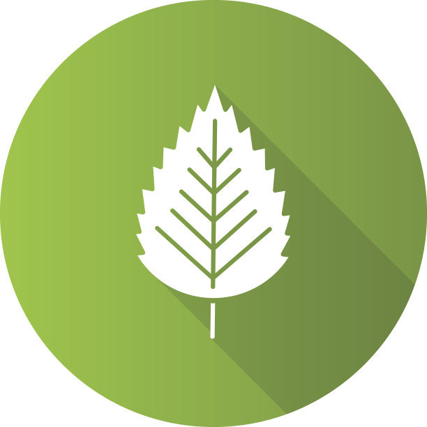 桦树的叶子图标图片下载