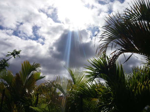 感受加勒比海的热度图片下载