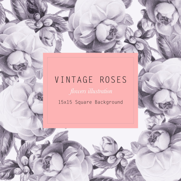 复古的玫瑰背景图片下载