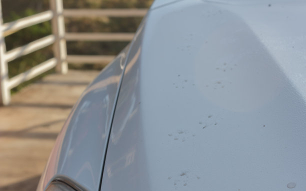 白色汽车上有一只猫的脚印。图片下载