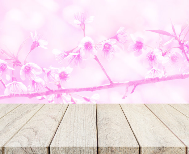 木桌上以樱花为背景图片下载