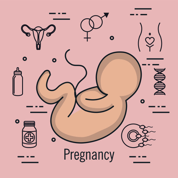 妊娠发育婴儿胎儿发育羊膜图片下载