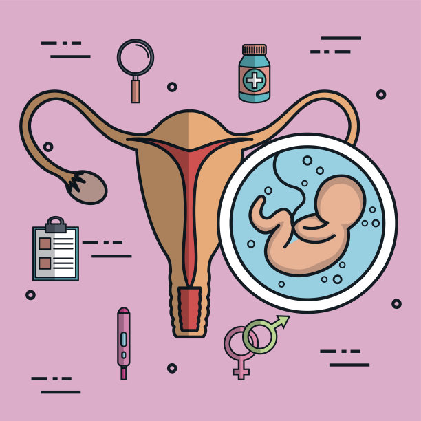 婴儿胎儿子宫图标在粉红色的背景上平坦孤立图片下载