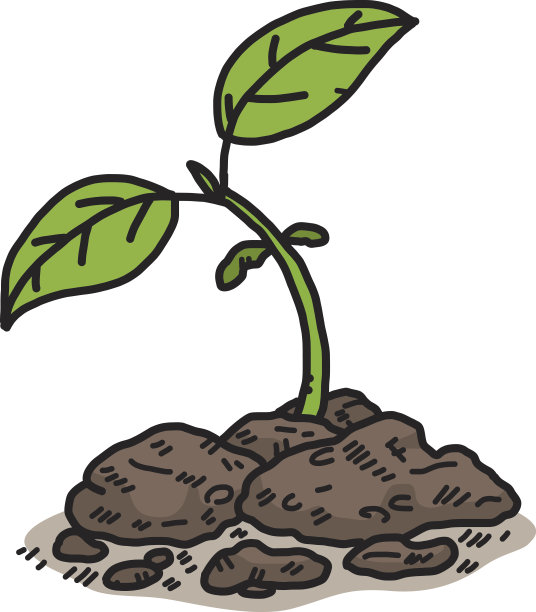 植物发芽图片下载