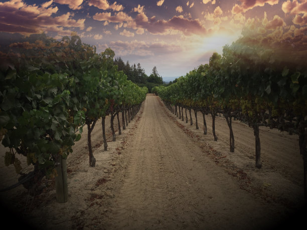 夏敦埃酒行图片下载