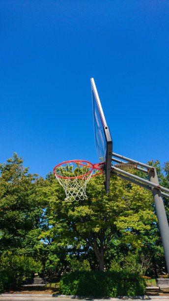 篮球希望图片下载