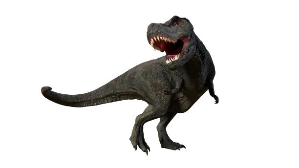 霸王龙咆哮，解剖学上正确，来自侏罗纪时期的霸王龙图片下载