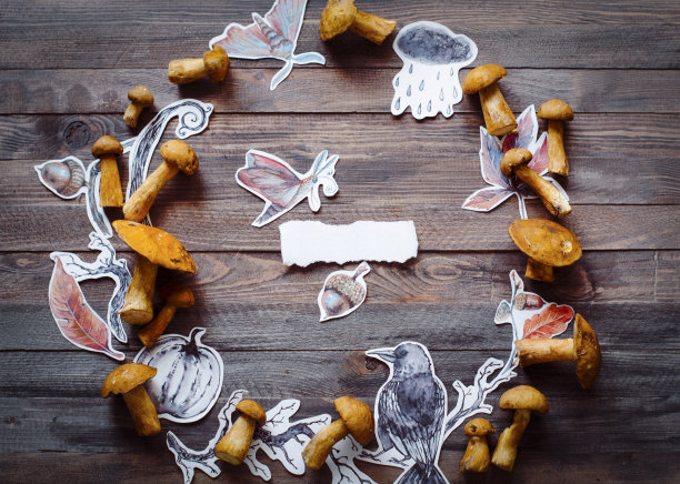 创意构图中的蘑菇和绘画图片下载