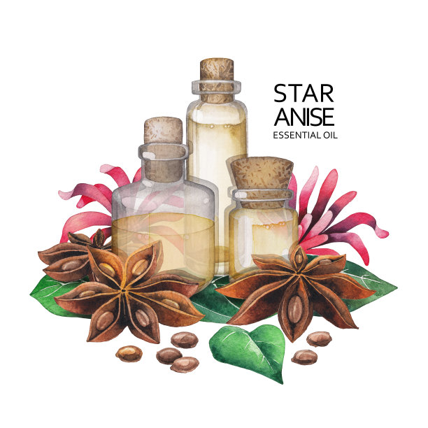 水彩八角油图片下载