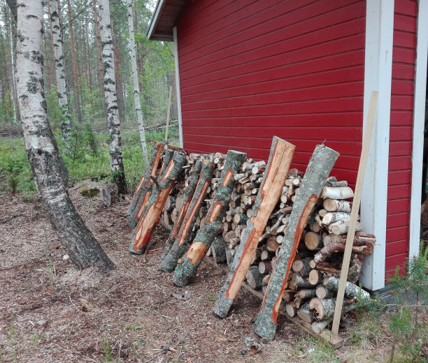 在棚屋旁晾晒的木材图片下载