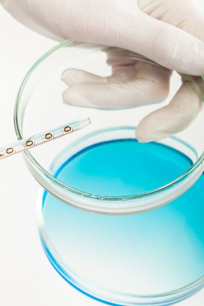 实验室。图片下载