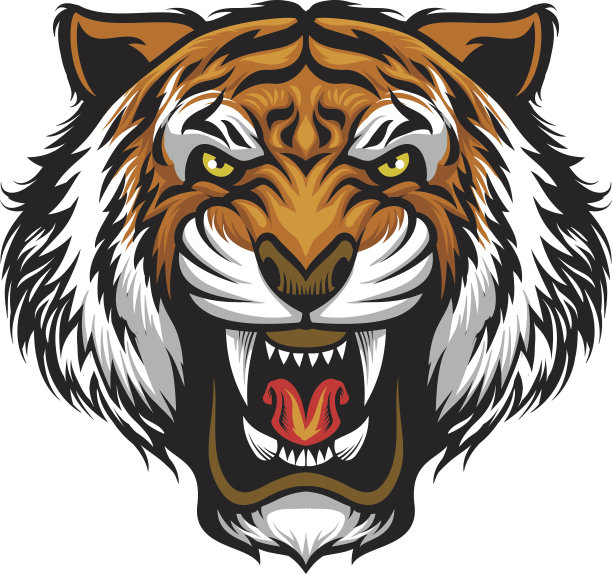 愤怒的老虎的脸图片下载