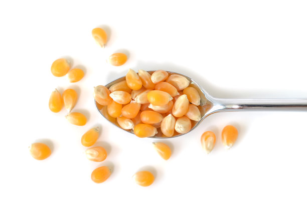 白色背景上的玉米粒素材图片