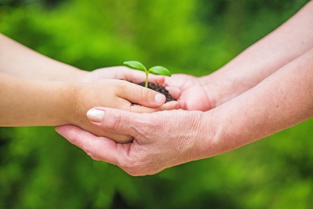 人类的手。图片下载