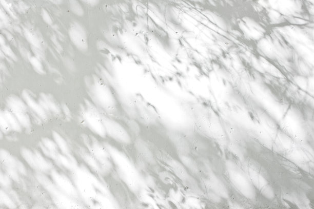 墙上的树影图片下载