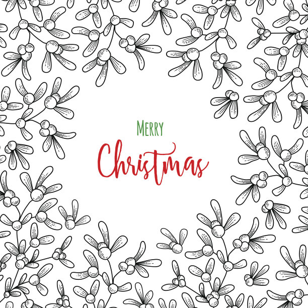 槲寄生的圣诞枝。用于贺卡、请柬和其他印刷项目的插图图片下载