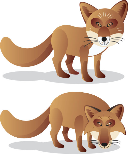 北海道红狐狸图片下载